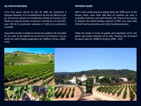 BLUE SIDE - Spécialiste achat vente propriétés et domaines viticoles Var Provence - Specialist purchase and sales vineyard estates wineries Provence