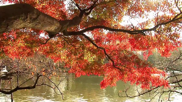 14 - (Cap.2) - Las Almas gemelas