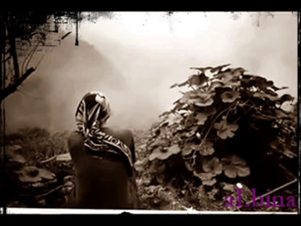 GÜNGÖR YILDIZ_SeLçuk BaLcı - DereLerde taş oLsam