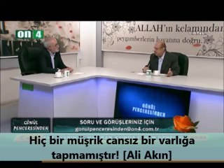 Hiç bir müşrik cansız bir varlığa tapmamıştır! [Ali Akın]