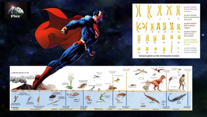 02 - Théorie de l'évolution - Nom de Zeus