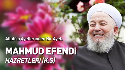 Allah'ın Ayetlerinden Bir Ayet: MAHMUD EFENDİ HZ.