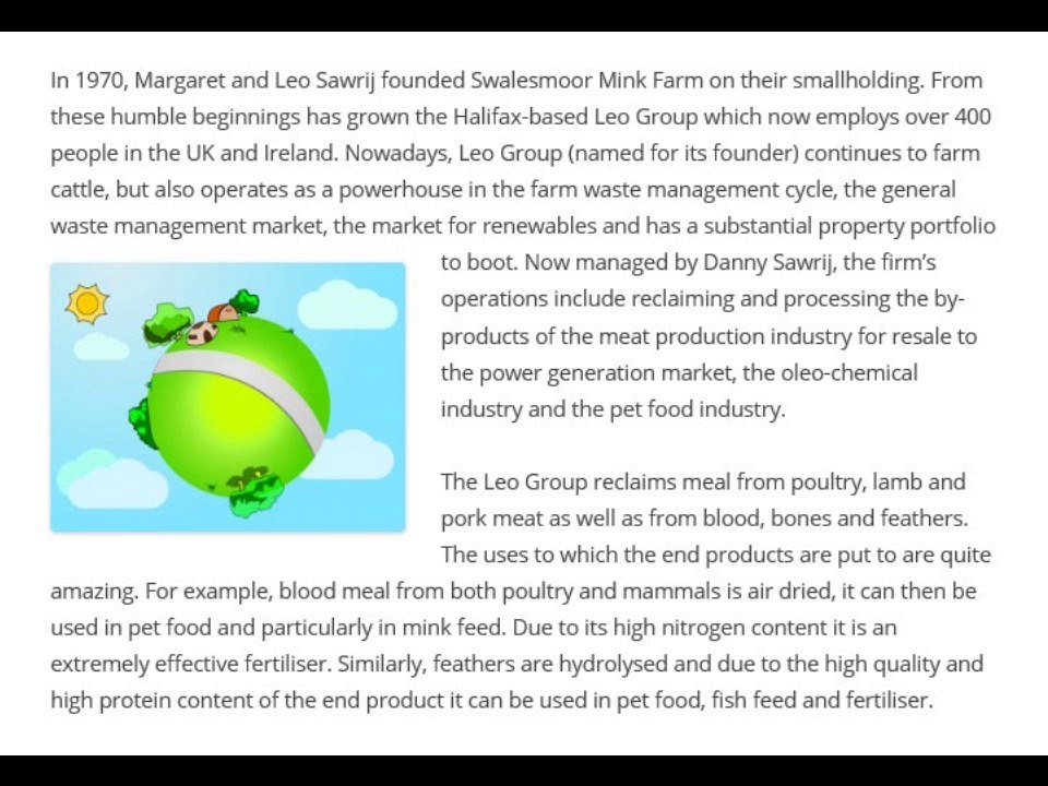 The Leo Group - Who is it