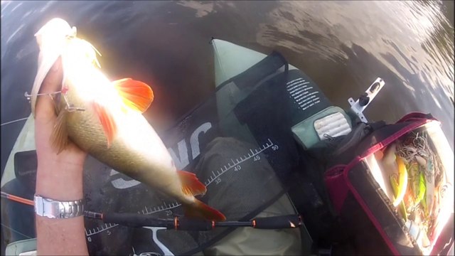 Brochets et perches sept 2014