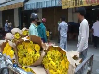 Minh Tuyết + Cẩm Ly + Cảnh Hàn - Nắng chiều