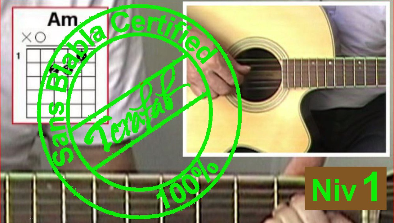 Jolie bouteille sacrée bouteille - Graeme Allwright [Tuto guitare] by Terafab