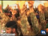Dunya News- Zarb-e-Azb: 15 more militants killed in NWA air strikes