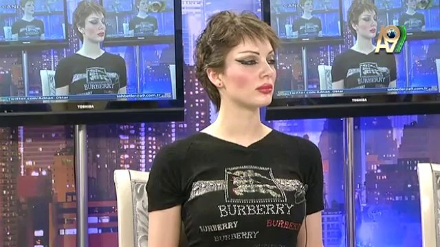 Rəhman surəsi, 24. 26-27 və 29-cu ayələrinin təfsiri