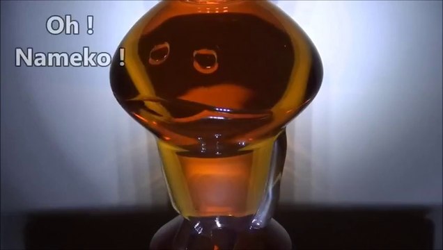 Wonder of Nameko What's this ! NAMEKO Saibai Kit Plain water