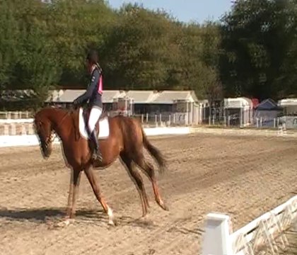 Mystic et Lu, Dressage amateur 3 2015 CCE, Pibrac, 27 sept 2014