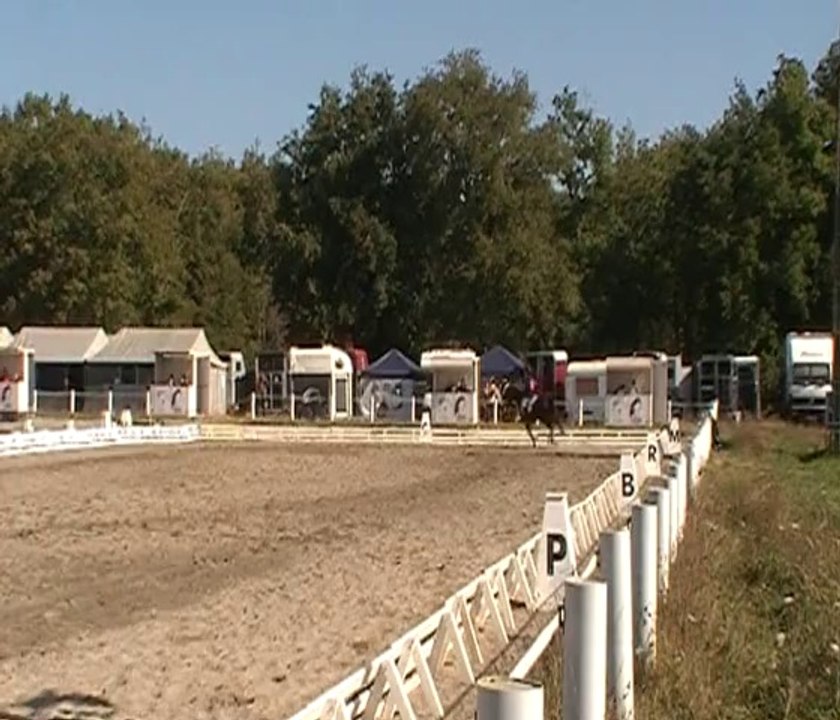 Odra et Meg, Dressage Amateur 3 2015 CCE Pibrac, 27 sept 2014