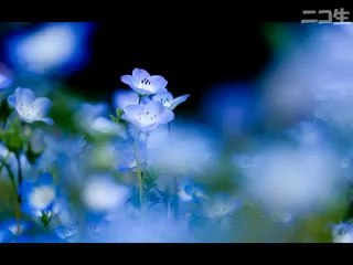 きもいおじさんの雑談　2011 06 09　3：48