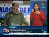 Inquieta precariedad de seguridad nacional en temas como la paz: FARC