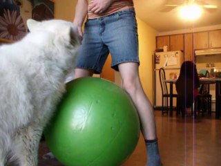 Push statique et push dynamique