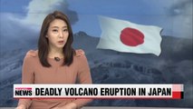 At least 31 feared dead after Japan's Mt. Ontake erupted on Saturday