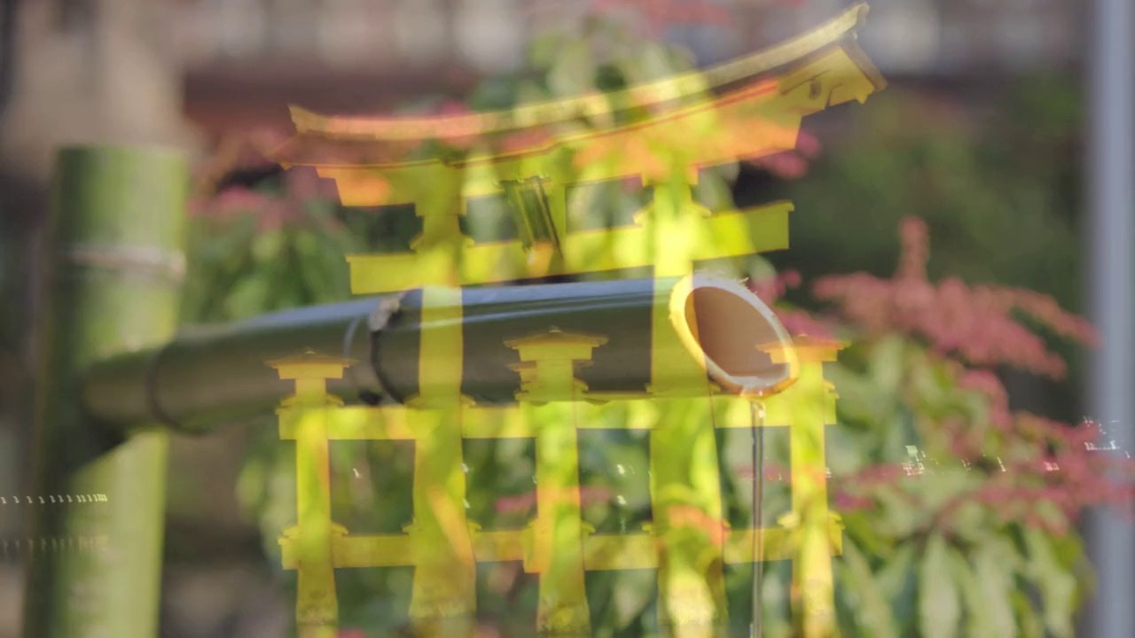 Les cahiers de l'Aikido avec Michel Erb Sensei Part 6 Les Tai Sabaki