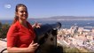 A visit to Gibraltar | Euromaxx