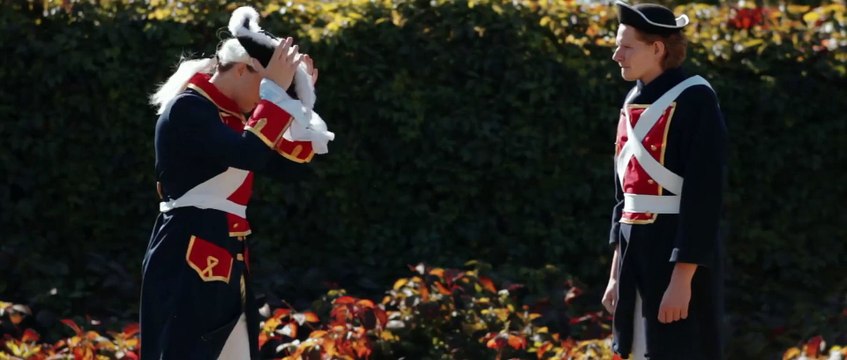 Des chatons transformés en héros du jeu Assassin's Creed