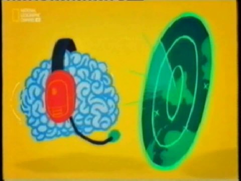 Cerebro: Atencion y percepcion espacial