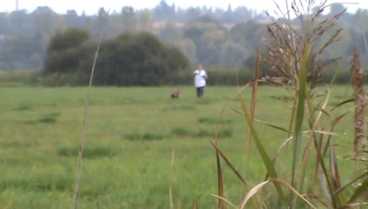 F'Aguilera tervueren niveau 3 piste trait pistage français 28.09.2014