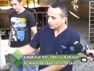 KURBANLIĞI YERE YATIRMA TEKNİĞİ RUEFF