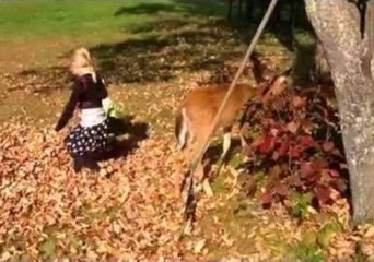 Baby Deer Is Best Friends With Two Little Girls