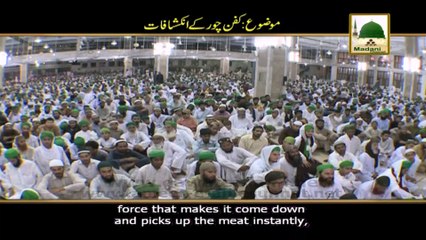 Islamic Speech - Kafan Choron Kay Inkishafat - Maulana Ilyas Qadri