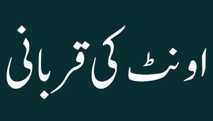 Ount Ki Qurbani - Faizan e Qurbani