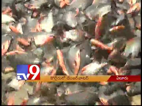 Kolleru lake highly polluted