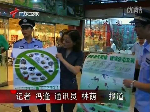 广东：保护候鸟 打击偷猎活动 121029 广东新闻联播