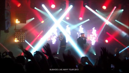 BUSHIDO LIVE AMYF TOUR 2013 - 01.10.2013 MÜNCHEN - Hochmut