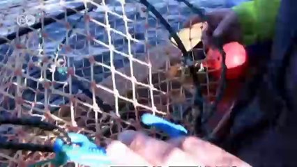 رحلة خاصة الى السويد | يوروماكس