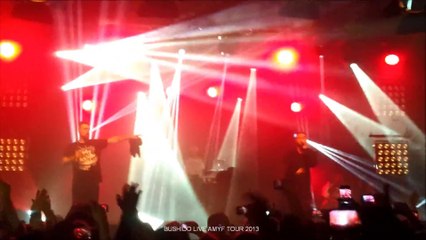 BUSHIDO LIVE AMYF TOUR 2013 - 01.10.2013 MÜNCHEN - NWA