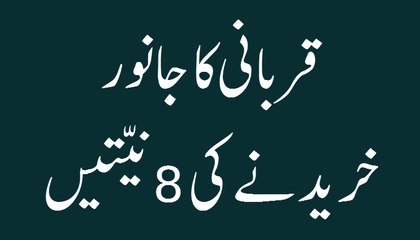 Qurbani Ka Janwar Khareednay Ki 8 Niyyaten - Short Speech