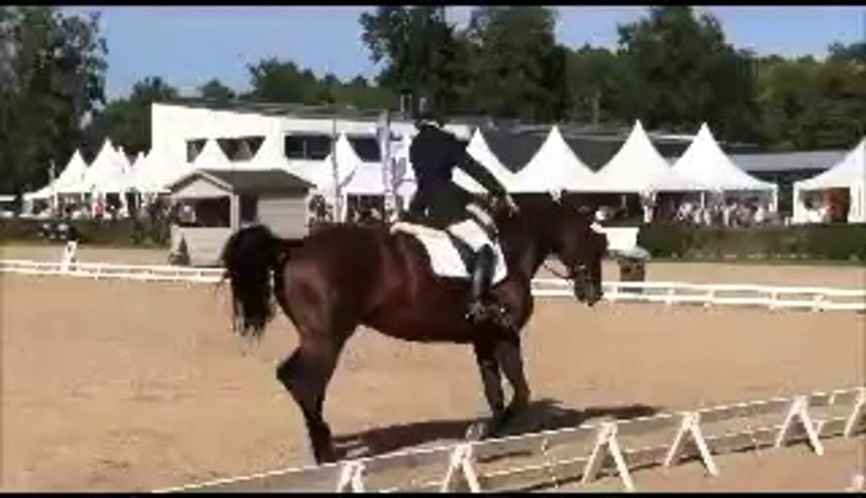 Salina Finale