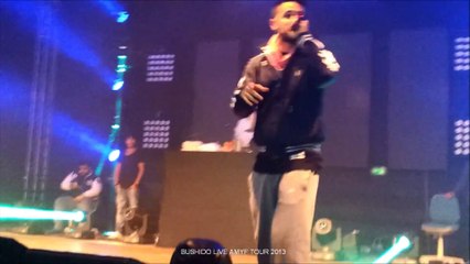 BUSHIDO LIVE AMYF TOUR 2013 - 05.10.2013 LEIPZIG - Intro