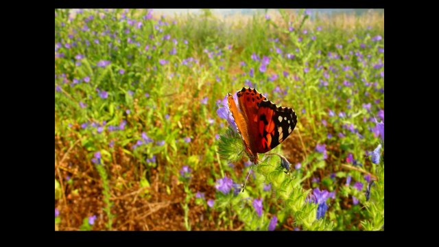 THE BLACK SEA, IN THE MOUNTAINS OF THE FOUR SEASONS