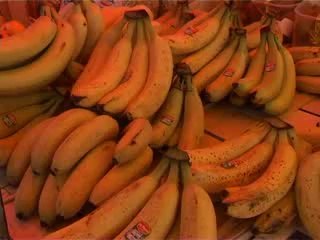 Lajmet RTB 29.09.2014