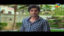 Agar Tum Na Hotay Episode (37) HUM TV Drama latest Episode [29/9/2014