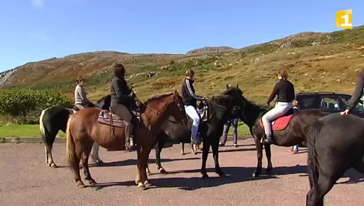 Au trot ou au galop
