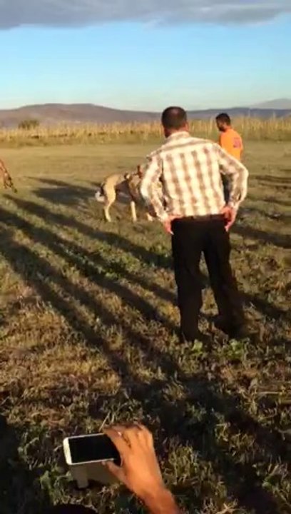 VID-20140929-WA0002