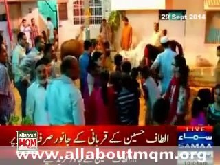 下载视频: Special report on Altaf Hussain's sacrificial animals at Ninezero for Eid-ul-Azha