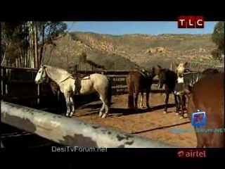 Get Out 30th September 2014 Video Watch Online pt1