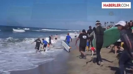 Amerika'da Köpeklerin Sörf Yarışı - Huntıngton