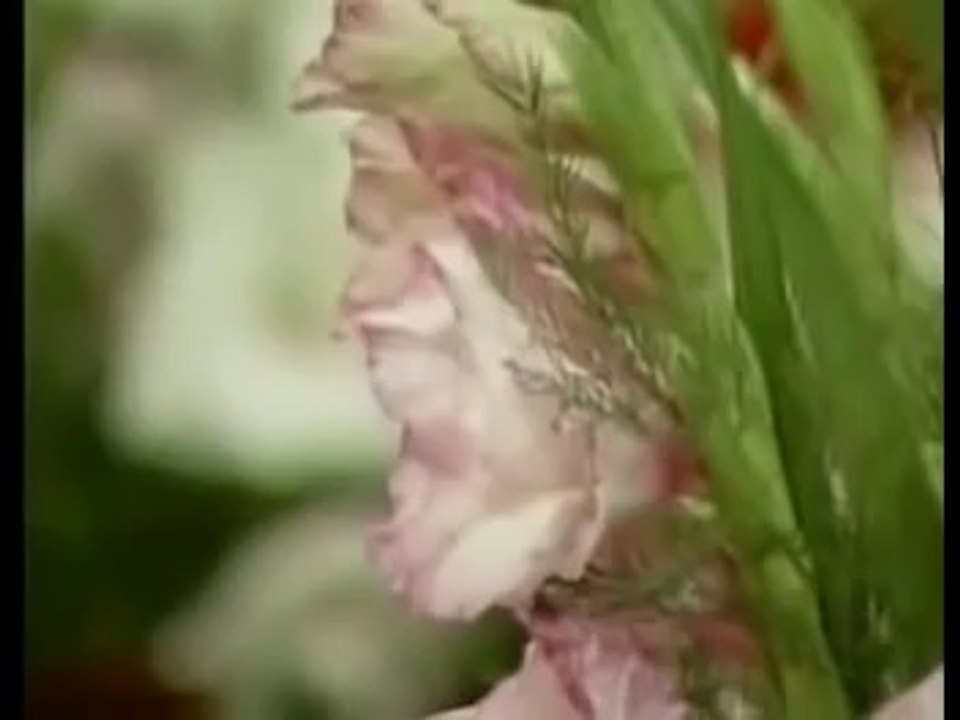 Farzana Khorshid Jora Jaan Best song