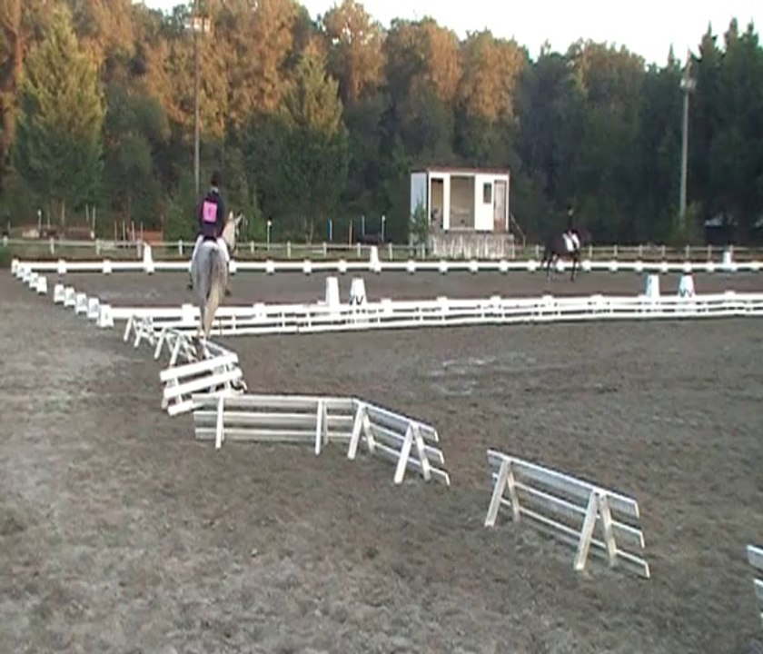 Quali et Lu, Dress Amateur 3 2015, Champ Dép, Pibrac, 27 sep t14