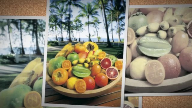 Hotel Palm Cove | Palm Cove Resort | Palm Cove Accommodations