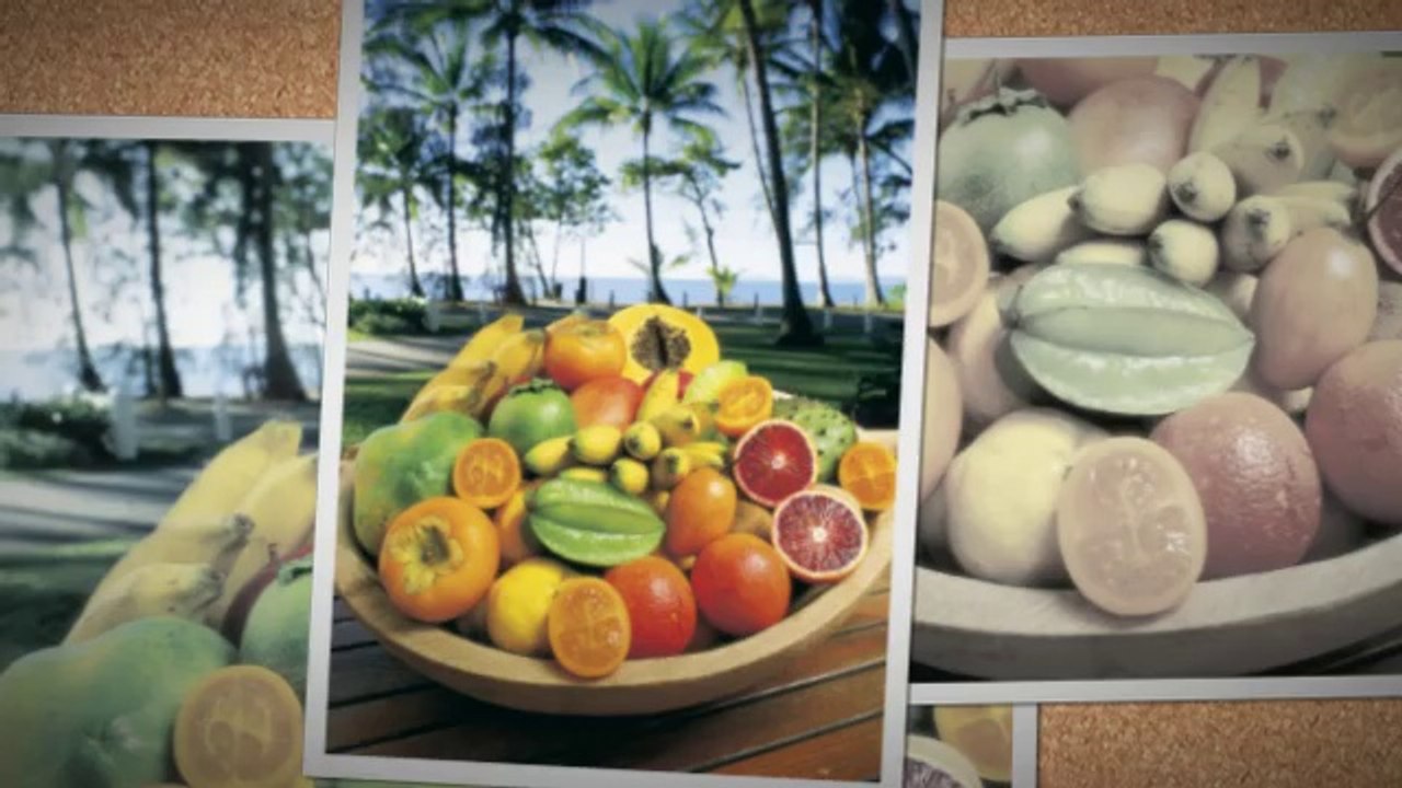 Hotel Palm Cove | Palm Cove Resort | Palm Cove Accommodations