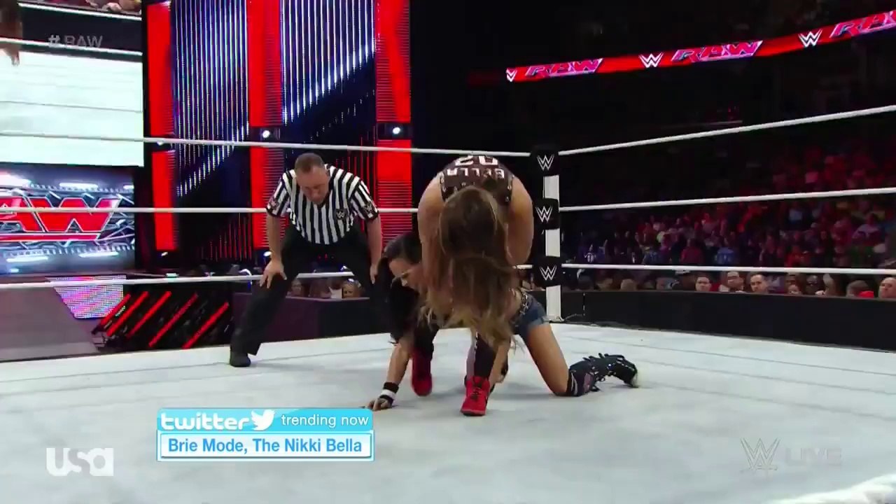 AJ Lee vs. Nikki Bella