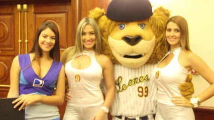 Leones del Caracas formará parte de DIRECTV Sport Team